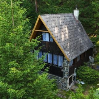 Prodej chaty 75 m² Borovnice