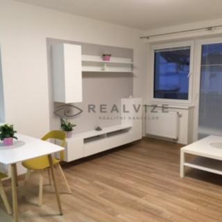 Pronájem bytu 1+kk a garsoniéry 33 m² České Budějovice 3, B. Smetany
