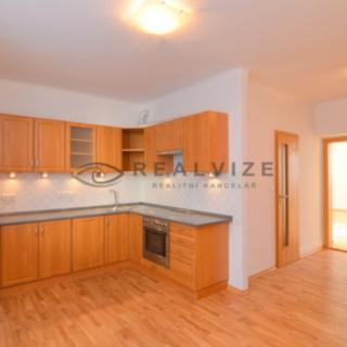 Pronájem bytu 2+kk 49 m² České Budějovice