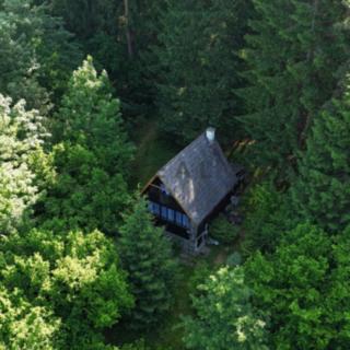 Prodej chaty 75 m² Borovnice