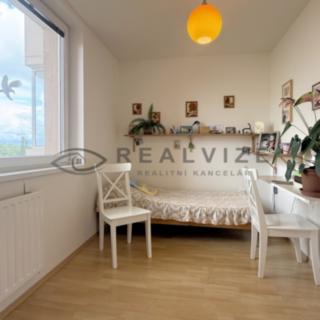 Prodej bytu 2+1 48 m² České Budějovice 2, Netolická