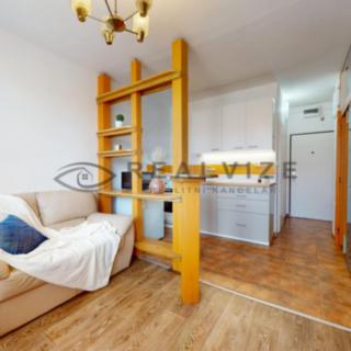 Prodej bytu 1+1 36 m² České Budějovice 3, Nerudova
