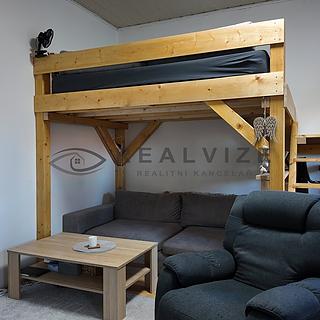 Pronájem bytu 1+kk a garsoniéry 40 m² České Budějovice 7, Lidická tř.