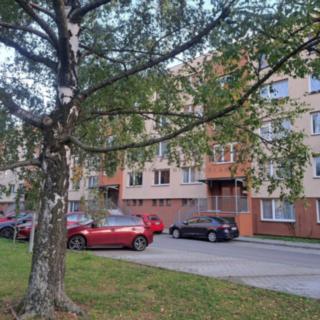 Prodej bytu 1+kk a garsoniéry 20 m² České Budějovice, Nádražní