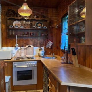 Prodej chaty 75 m² Borovnice