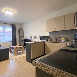 Prodej bytu 2+kk 43 m&sup2; České Budějovice