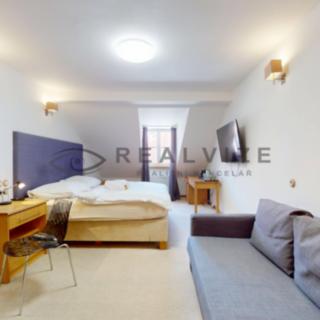 Prodej bytu 1+kk a garsoniéry 35 m² České Budějovice 1, Široká
