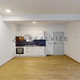 Pronájem bytu 1+kk a garsoniéry 38 m² České Budějovice 3, Puklicova