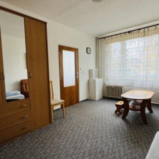 Pronájem bytu 1+1 35 m² Jindřichův Hradec II, sídliště U Nádraží