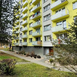 Pronájem bytu 1+1 35 m² Jindřichův Hradec II, sídliště U Nádraží