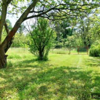Prodej zahrady 4 523 m² Dobříň