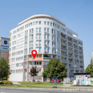 Pronájem bytu 1+kk, garsoniery 40 m² Hradec Králové