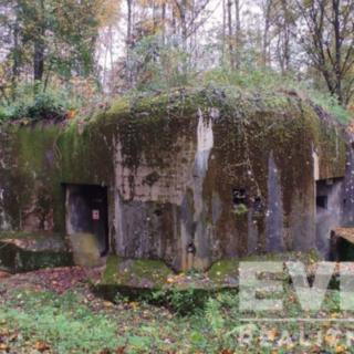 Prodej ostatní nemovitosti 2 013 m² Trutnov Libeč