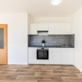 Pronájem bytu 1+kk a garsoniéry 30 m² Praha Horní Měcholupy, Boloňská