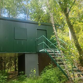 Prodej lesa 6680 m² Hlubočky