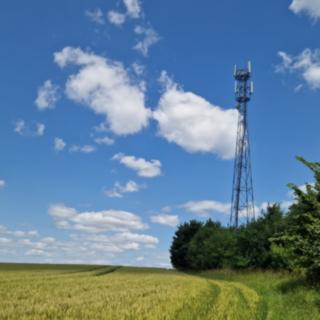 Prodej zemědělské půdy 1851 m² Bílá Lhota
