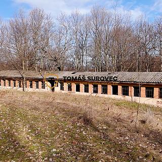 Prodej zemědělské usedlosti 162 m² Lhotka u Litultovic