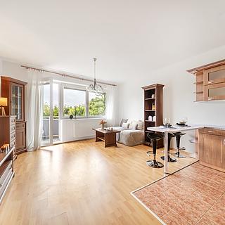 Prodej bytu 1+kk, garsoniery 40 m&sup2; Praha