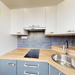 Prodej bytu 1+kk a garsoniéry 27 m² Teplice Trnovany, Hlávkova