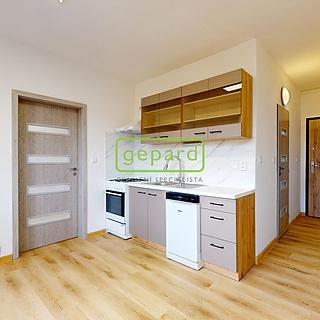 Pronájem bytu 1+1 36 m² Ústí nad Labem Severní Terasa, Kmochova