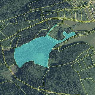 Prodej lesa 38 165 m² Vsetín Rokytnice, Rokytnice