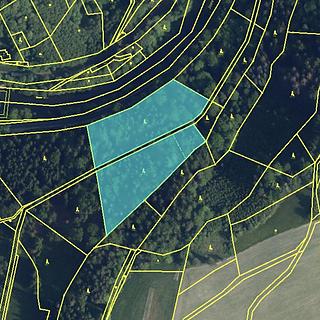 Prodej lesa 11613 m&sup2; Poniklá