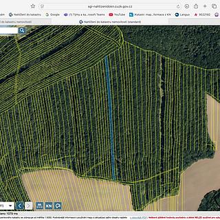 Prodej lesa 7 762 m² Hradčovice