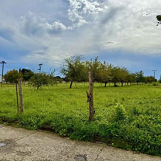 Prodej stavební parcely 1 000 m² Dřevohostice, Zámecká