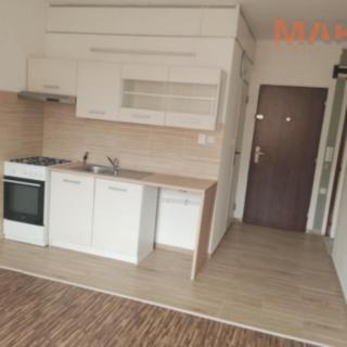 Pronájem bytu 1+1 40 m² Jirkov, Mládežnická