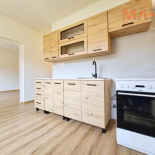 Pronájem bytu 2+1 60 m² Jirkov, Na Borku