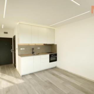 Pronájem bytu 1+kk a garsoniéry 21 m² Chomutov, Havlíčkova