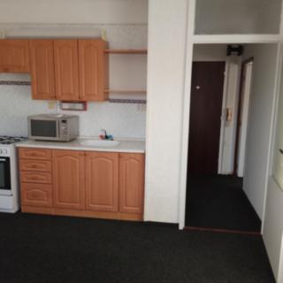 Pronájem bytu 1+1 40 m² Jirkov
