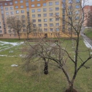 Pronájem bytu 2+1 59 m² Kadaň, Chomutovská