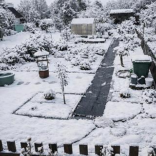 Prodej zahrady 356 m² Jirkov