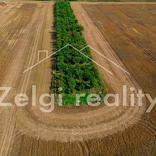 Prodej ostatních pozemků, 8494m²