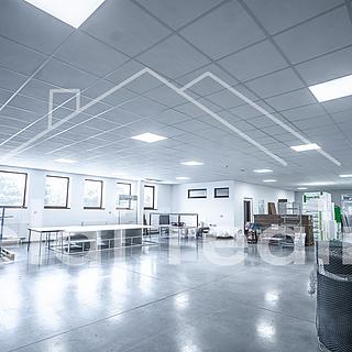 Pronájem obchodu 302 m² Bojkovice