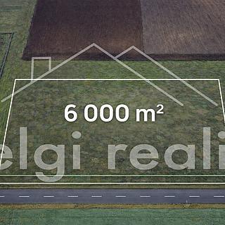 Prodej komerčního pozemku 6 001 m² Moravský Žižkov, Chalúpky