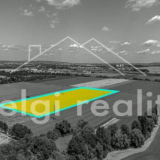 Prodej zemědělské půdy 40 827 m² Modřice