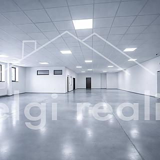 Pronájem obchodu 302 m² Bojkovice