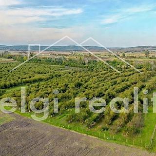 Prodej ostatního pozemku 210 277 m² Rakvice, Horní