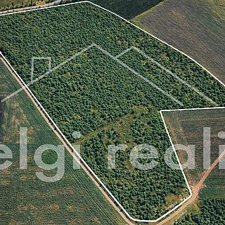 Prodej ostatního pozemku 246 558 m² Kralupy nad Vltavou