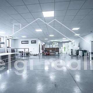 Pronájem obchodu 302 m² Bojkovice