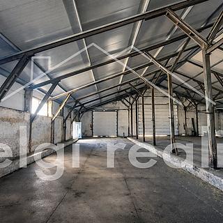 Pronájem skladu 1 960 m² Zaječí, Hlavní