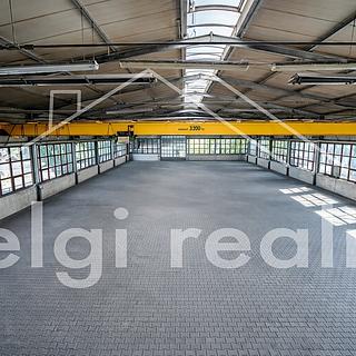 Pronájem ostatního komerčního prostoru 1 192 m² Valtice, Zámek