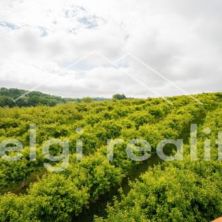 Prodej ostatního pozemku 9 760 m² Polom