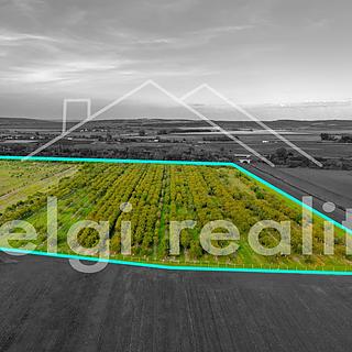 Prodej ostatních pozemků 176555 m² Rakvice