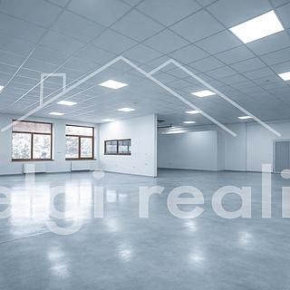 Pronájem skladu 234 m² Bojkovice
