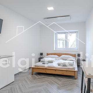 Prodej hotelu a penzionu 200 m² Bulhary