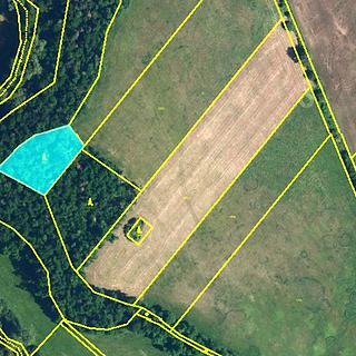 Prodej lesa 1 620 m² Rouchovany