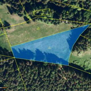 Prodej louky 5 620 m² Halenkov